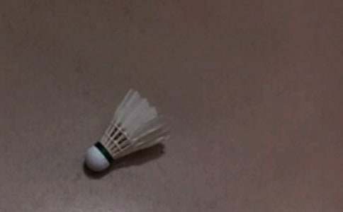 ��д����ë�������