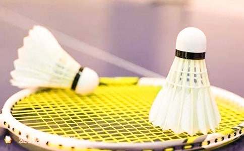 关于打羽毛球的句子