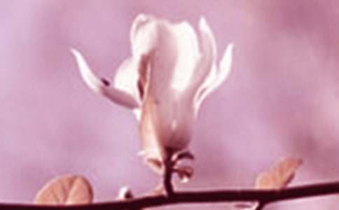 ���������꼶����