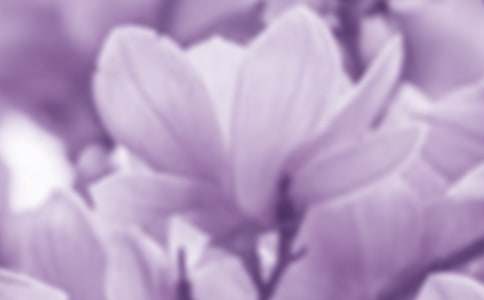 �й����������ִ�ʫ��