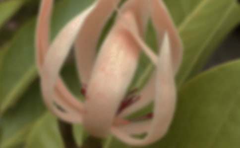 ���������꼶������ƪ