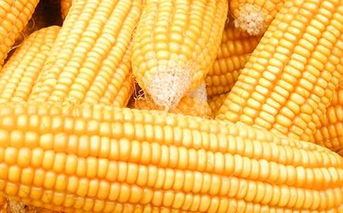 ���������꼶����