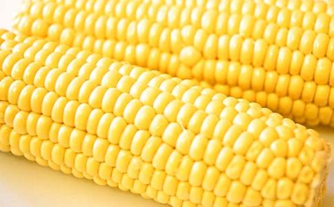 ����������ס���ѧ���