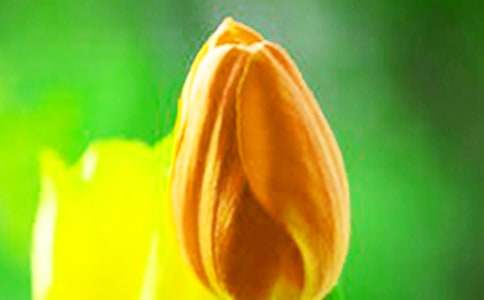 ������ľ���