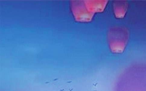 2016�׶�԰Ԫ���ƻ�����