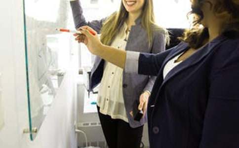 2016�������Ա������