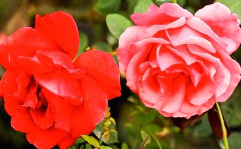 �¼�����ʫ��