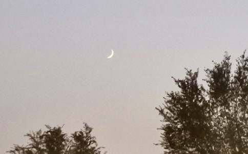 �������ľ���