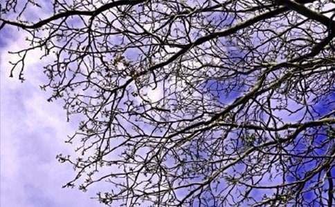 �簲��ʫ��ľ���