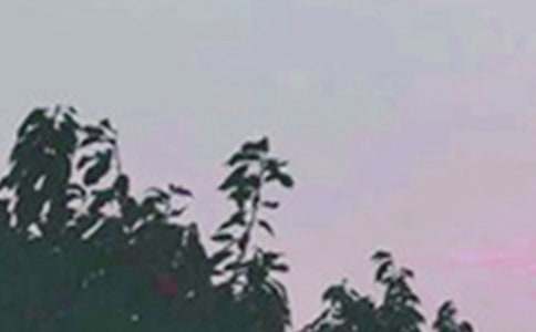 �����š�2023�����õ��簲����Ȧף���Ｏ��45��