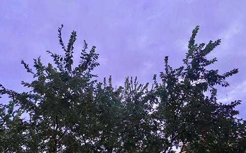 ������ܰ�簲ף����75�侫ѡ