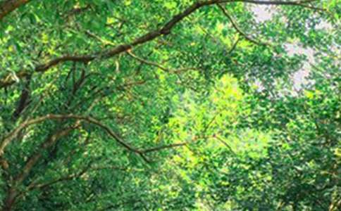 ���ر���2023�����õ��簲ף������¼ժ¼31��