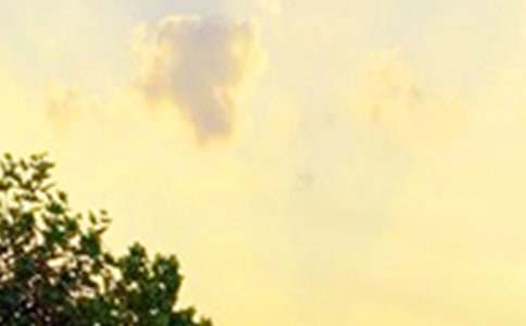 2016����΢���簲������־ͼƬ�;���