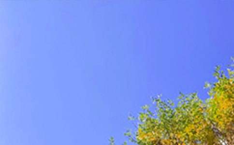 2023���й����õ��簲QQף����45��