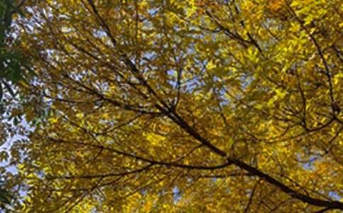 �����������簲�̾��ȫ��ͨ��180�䣩