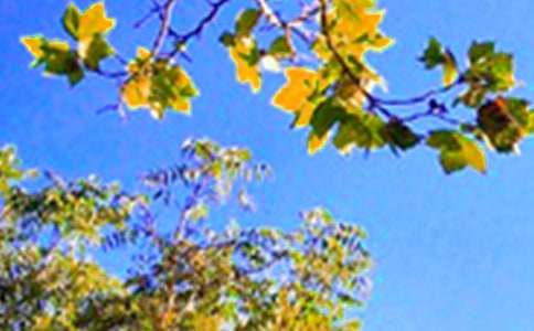 2023�����õ��簲΢��ף�����ϼ�58��