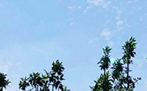 ����־�簲ǩ��85��