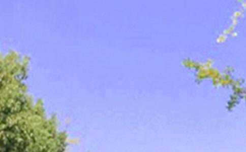 �����������簲ף������ܣ���ѡ125�䣩