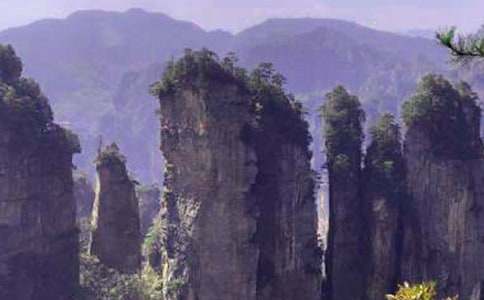 �����˵��żҽ硷��ѧ���15ƪ