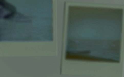 һ�ž���Ƭ���꼶����11ƪ