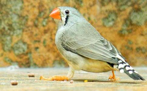 �������������ѧ���