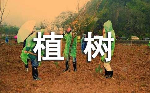 ��ѡֲ�����꼶����3ƪ