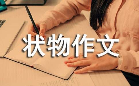 ��ʵ�á���һ״��������ƪ