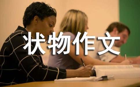 五年级状物作文:美味的下午点心_800字