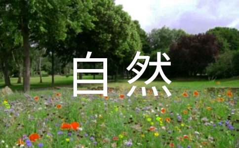 ��д����Ȼɽ��ľ���