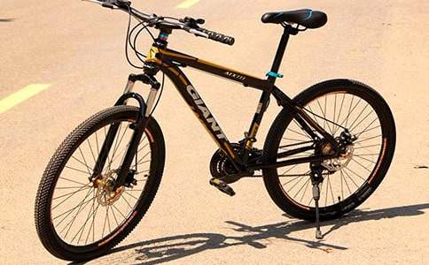 ���꼶ͯ�����ģ����г�������