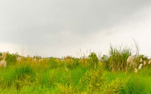 �����ֳ�������-�߽���г�Ĵ���