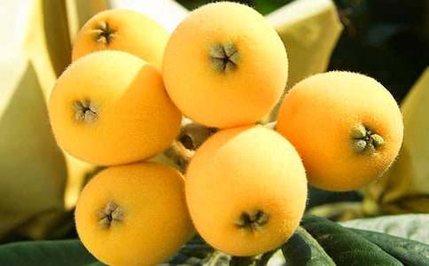 ���������������ģ���ѡ37ƪ��