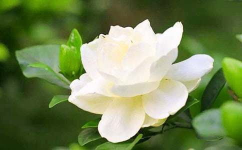 �����ഺż����Ƽ��������ӻ���2016��