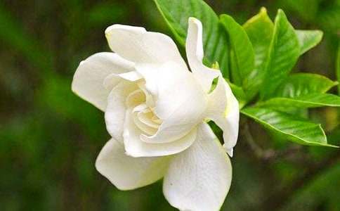 �����ӻ�������Ӱ��