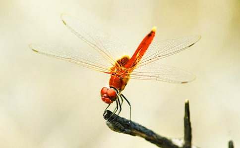 ��һ����д�����ġ����ѡ� ����