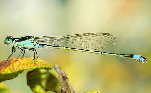 ��д���ѵľ���(����)