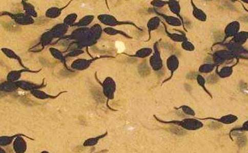 ��ͨ�ã���С��������衷��ѧ���