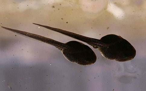 ���꼶���ģ������С���