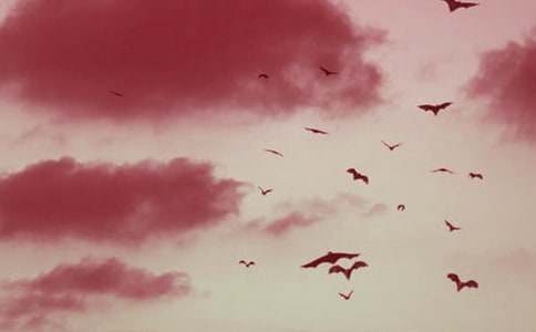 �¿α����£���������״�̰�