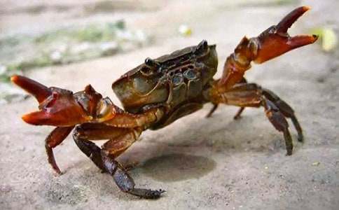 ���꼶�з�����ļ���10ƪ