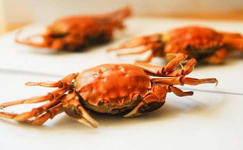 Сѧ���꼶�з������ƪ