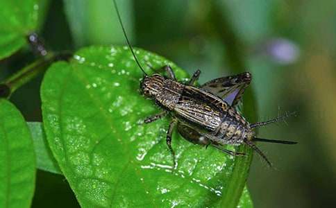 ���סլ�ڶ���ʱ��ѧ���