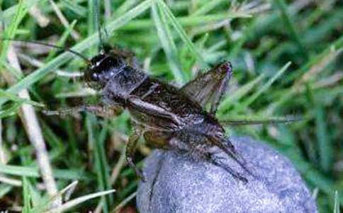 �˽̰����꼶�ϲᡶ���סլ����ѧ���