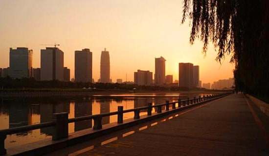 дϦ���ľ���