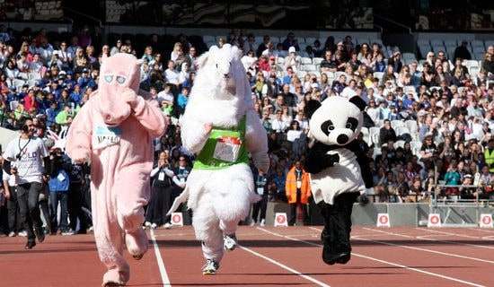 �˶����볡ʽ��˵��(��ѡ)