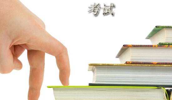 �����������꼶���п���������ƪ