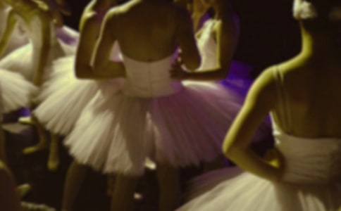 十二个芭蕾公主童话作文