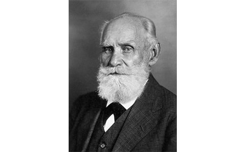 ���͸�����æ���Ķ�ѵ��