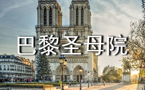 ������ʥĸԺ������У�����14ƪ��