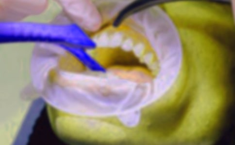 �������꼶���ģ���ѡ22ƪ��